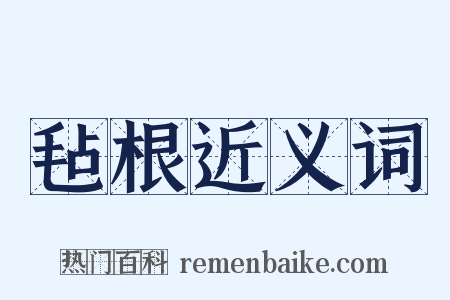 毡根近义词是什么意思的图片